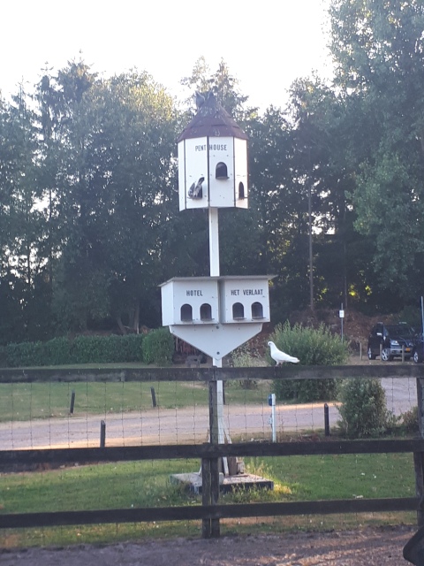 ../fotos/het_verlaat_2018/2018-07-31 19.58.38.jpg